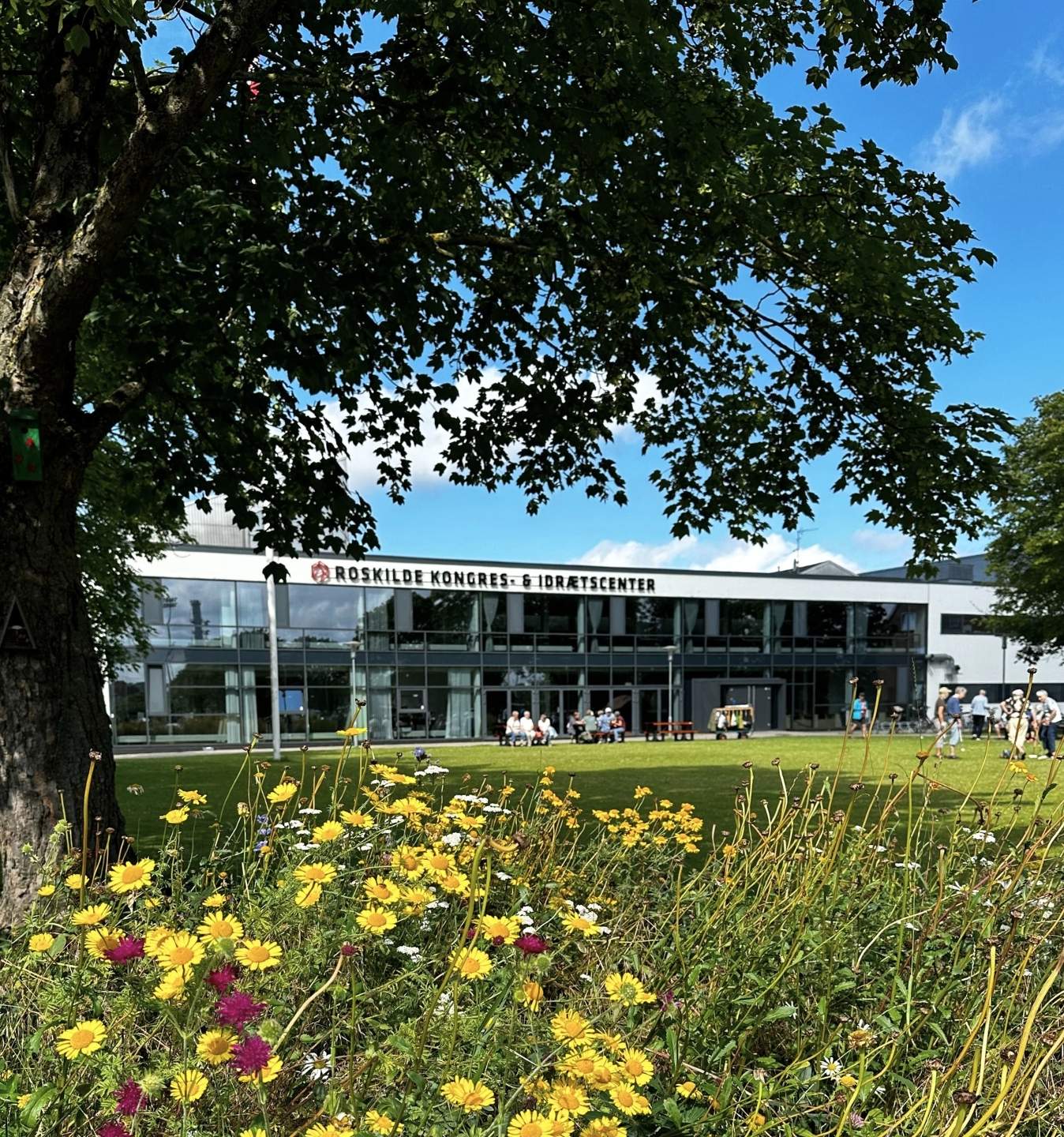 ESG Rapporter I Roskilde Kongres Og Idrætscenter