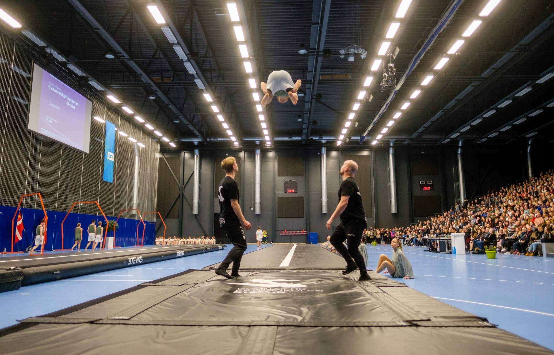 Hal D, sport, gymnastikopvisning