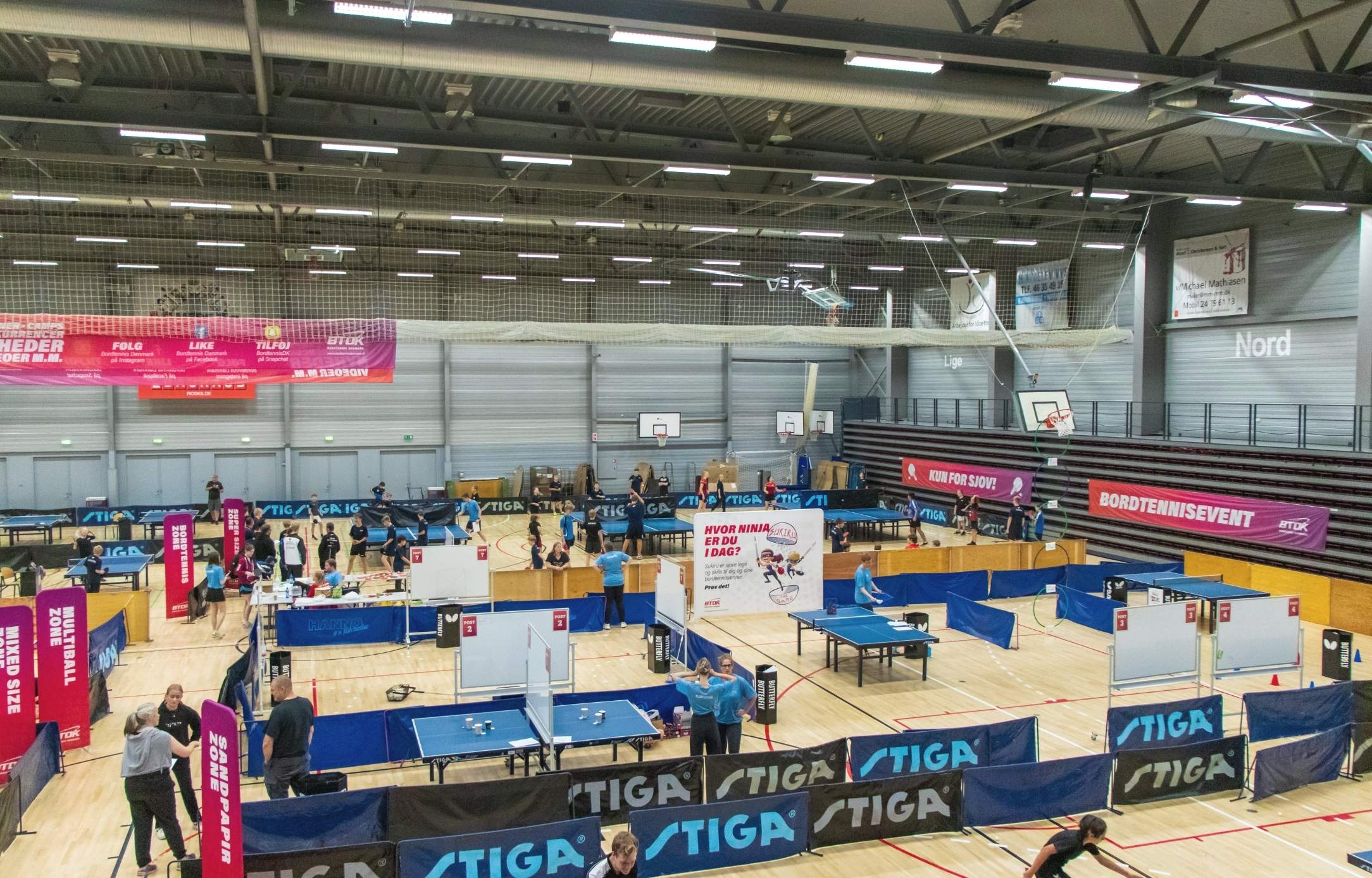 Hal C, sport, bordtennisfestival