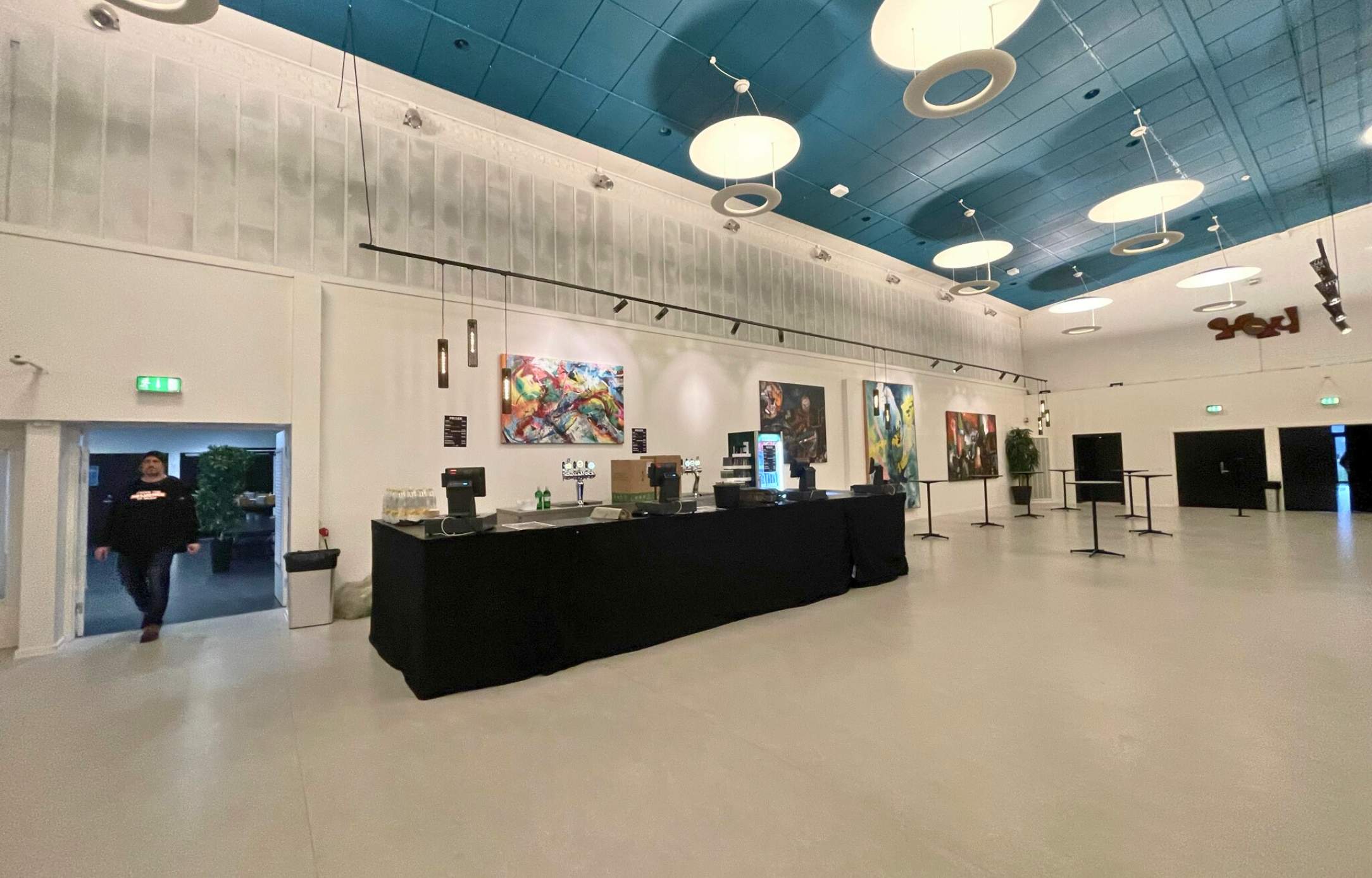 76 Lokal Kunst I Roskilde Kongres Og Idrætscenter