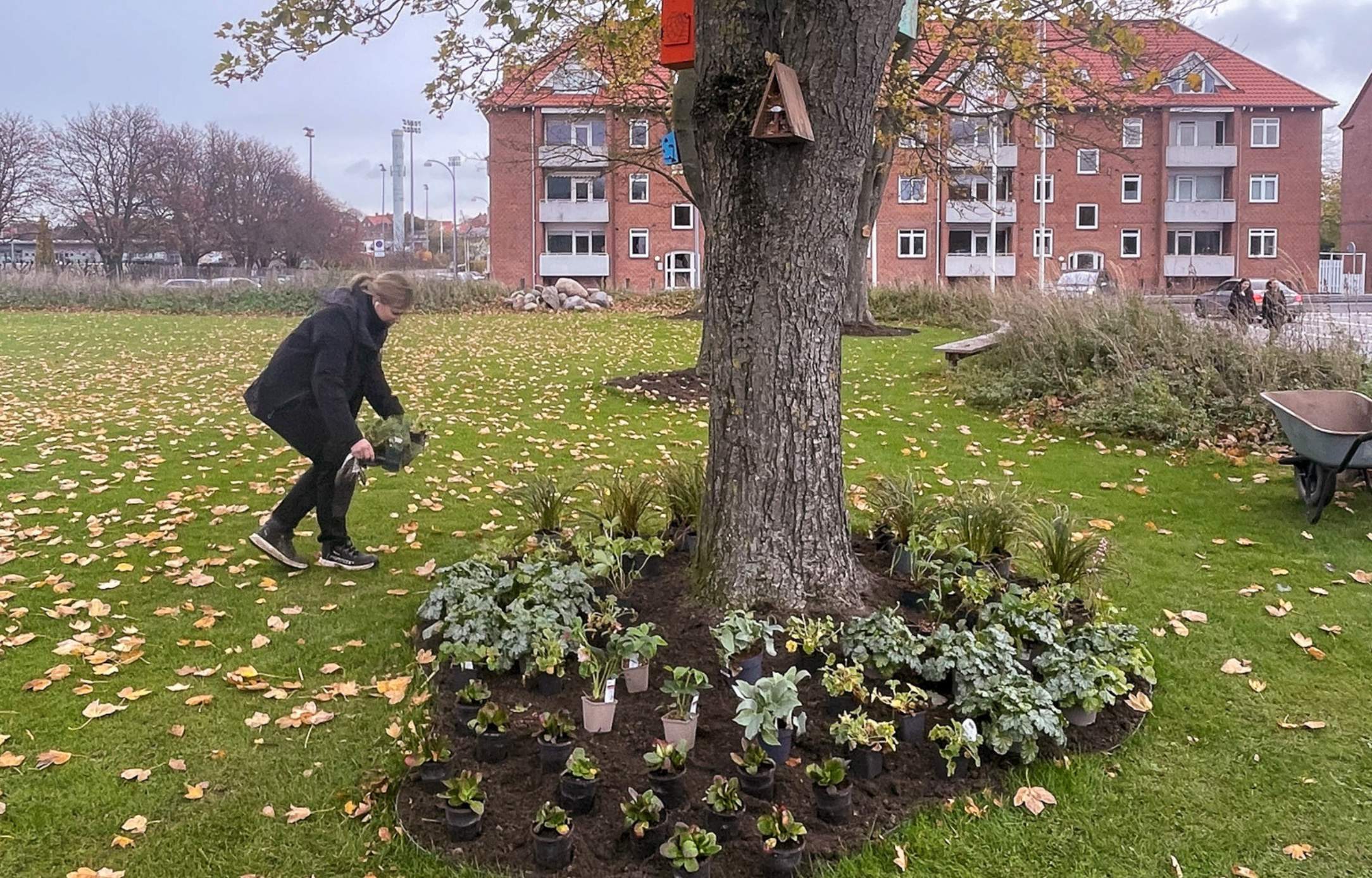 Dansk Ukrainsk Haveprojekt 70