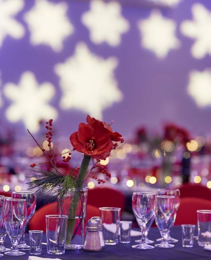 Julefrokost i Roskilde